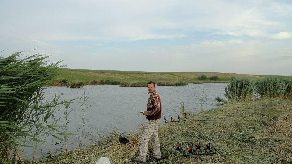 pupaza - 627501646634336891911594536185n.jpg